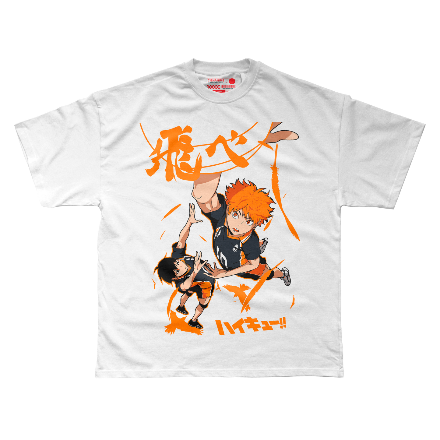 Dúo Haikyuu